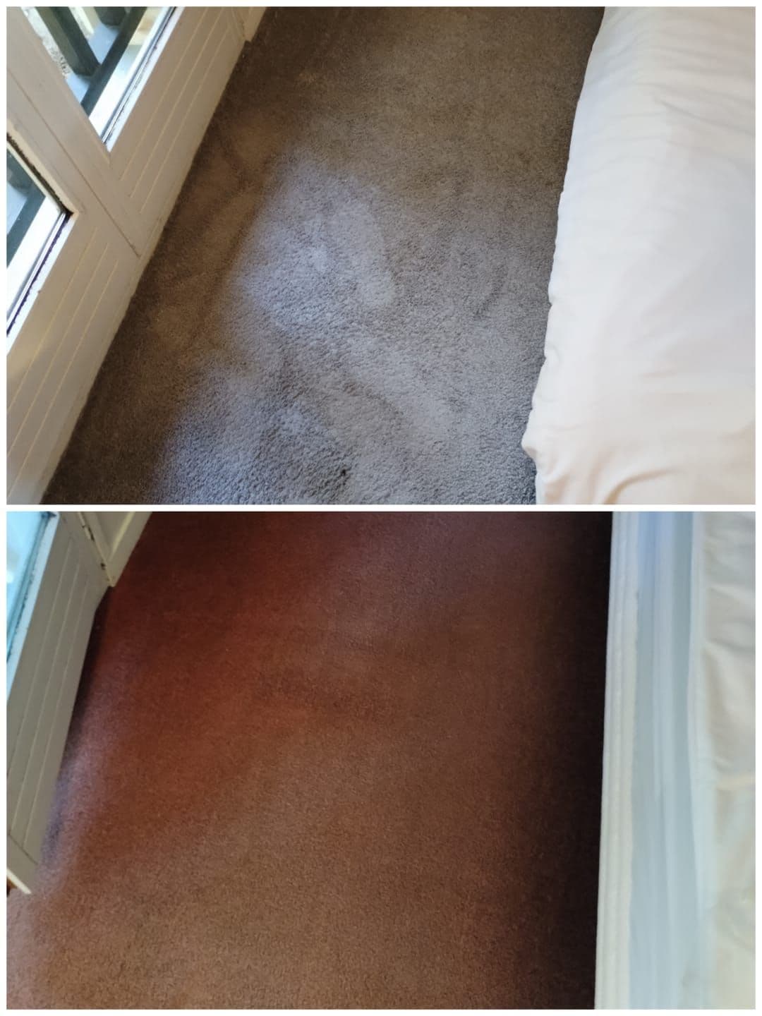 Moquette chambre - Avant / Après