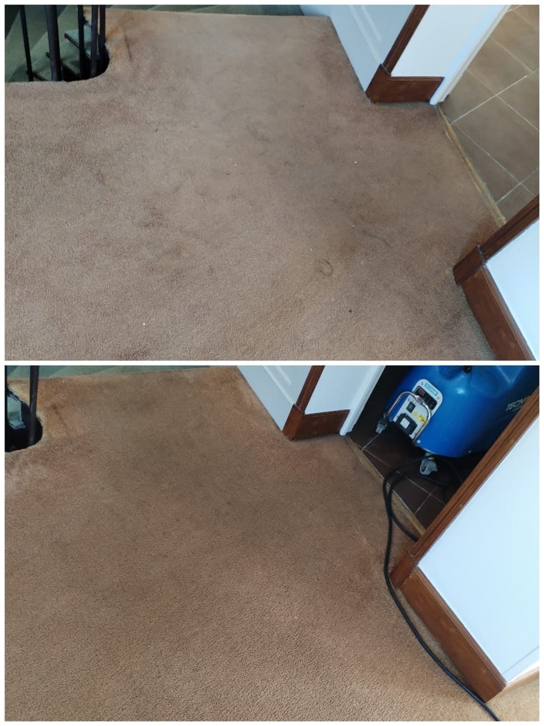 Moquette entrée - Avant / Après